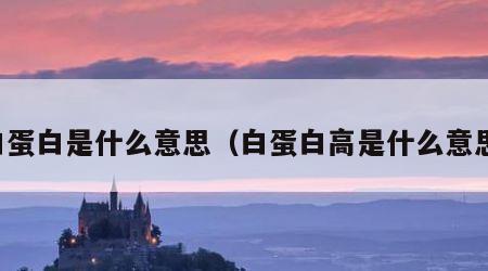 白蛋白是什么意思（白蛋白高是什么意思）