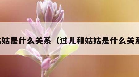 姑姑是什么关系（过儿和姑姑是什么关系）