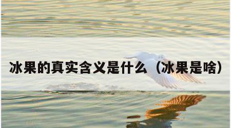 冰果的真实含义是什么（冰果是啥）