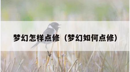 梦幻怎样点修（梦幻如何点修）