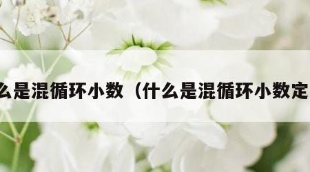 什么是混循环小数（什么是混循环小数定义）