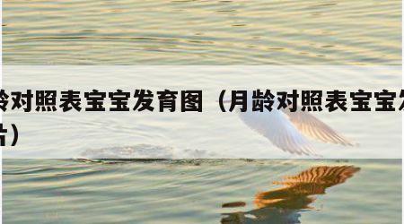 月龄对照表宝宝发育图（月龄对照表宝宝发育图片）