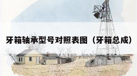 牙箱轴承型号对照表图（牙箱总成）