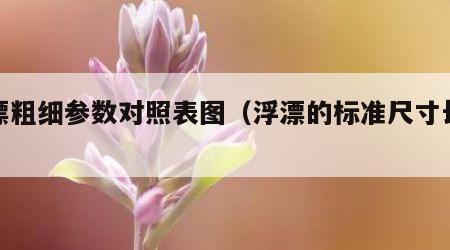 浮漂粗细参数对照表图（浮漂的标准尺寸长度表）