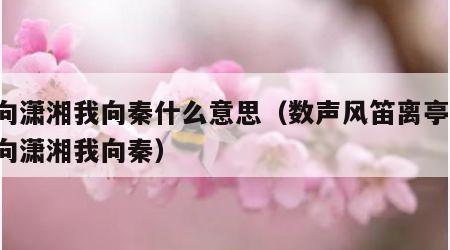 君向潇湘我向秦什么意思（数声风笛离亭晚 君向潇湘我向秦）
