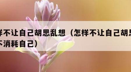 怎样不让自己胡思乱想（怎样不让自己胡思乱想不消耗自己）