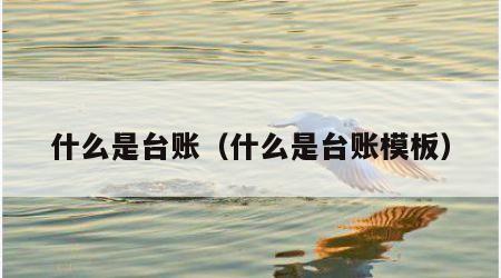 什么是台账（什么是台账模板）