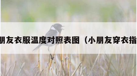 小朋友衣服温度对照表图（小朋友穿衣指数）