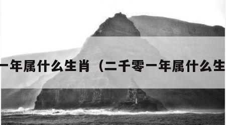 五一年属什么生肖（二千零一年属什么生肖）