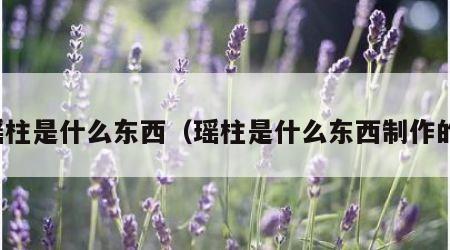 瑶柱是什么东西（瑶柱是什么东西制作的）