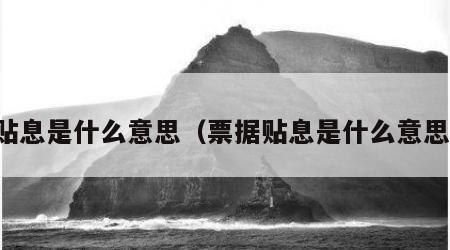 贴息是什么意思（票据贴息是什么意思）