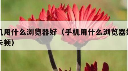 手机用什么浏览器好（手机用什么浏览器好用不卡顿）