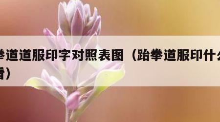 跆拳道道服印字对照表图（跆拳道服印什么字好看）