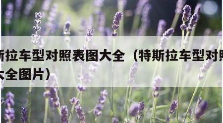 特斯拉车型对照表图大全（特斯拉车型对照表图大全图片）
