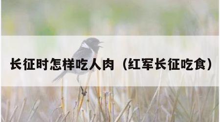 长征时怎样吃人肉（红军长征吃食）