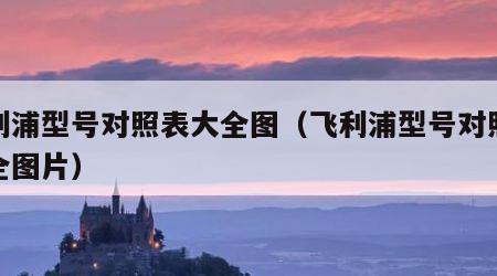 飞利浦型号对照表大全图（飞利浦型号对照表大全图片）