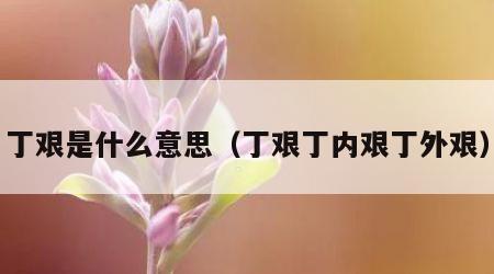 丁艰是什么意思（丁艰丁内艰丁外艰）