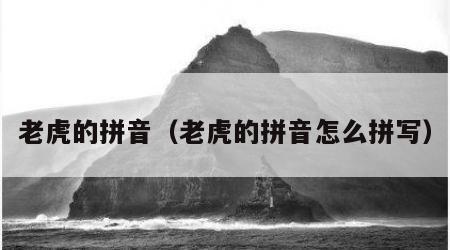 老虎的拼音（老虎的拼音怎么拼写）