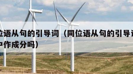 同位语从句的引导词（同位语从句的引导词在句中作成分吗）