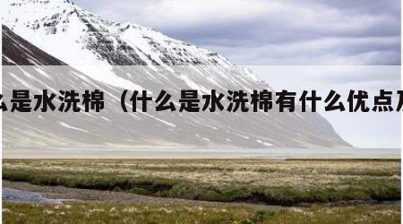 什么是水洗棉（什么是水洗棉有什么优点及缺点）