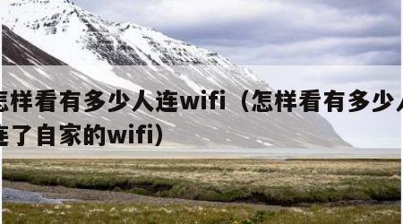 怎样看有多少人连wifi（怎样看有多少人连了自家的wifi）
