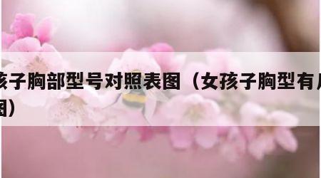 女孩子胸部型号对照表图（女孩子胸型有几种配图）