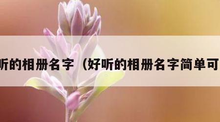 好听的相册名字（好听的相册名字简单可爱）