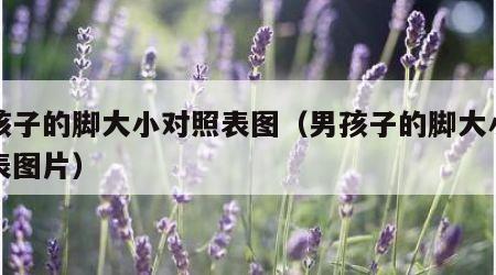 男孩子的脚大小对照表图（男孩子的脚大小对照表图片）