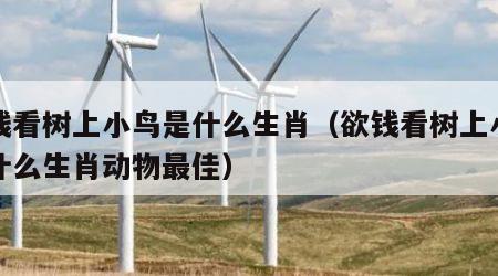 欲钱看树上小鸟是什么生肖（欲钱看树上小鸟是什么生肖动物最佳）
