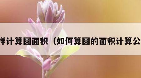 怎样计算圆面积（如何算圆的面积计算公式）