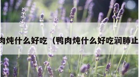 鸭肉炖什么好吃（鸭肉炖什么好吃润肺止咳）