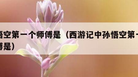 孙悟空第一个师傅是（西游记中孙悟空第一个师傅是）