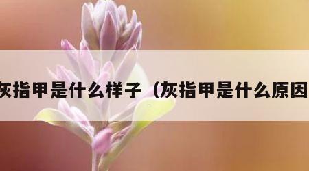 灰指甲是什么样子（灰指甲是什么原因）