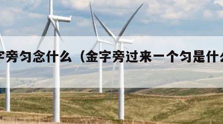 金字旁匀念什么（金字旁过来一个匀是什么字）