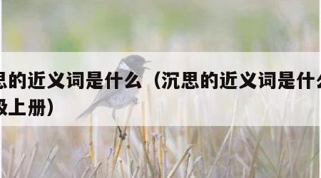 沉思的近义词是什么（沉思的近义词是什么二年级上册）
