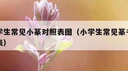 小学生常见小篆对照表图（小学生常见篆书对照表）