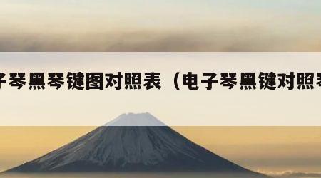 电子琴黑琴键图对照表（电子琴黑键对照琴谱）