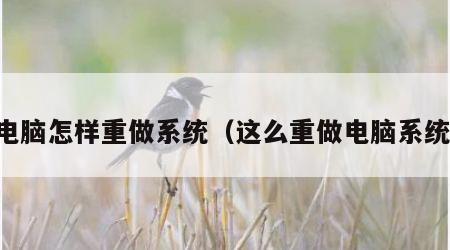 电脑怎样重做系统（这么重做电脑系统）
