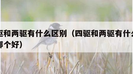 四驱和两驱有什么区别（四驱和两驱有什么区别哪个好）