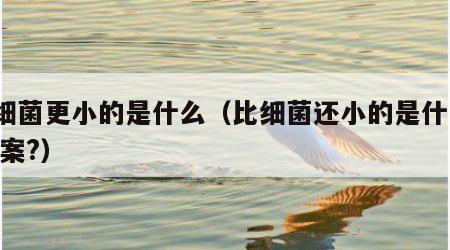 比细菌更小的是什么（比细菌还小的是什么? 答案?）