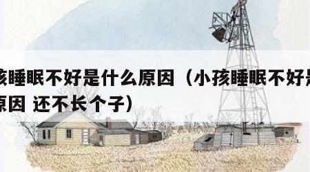 小孩睡眠不好是什么原因（小孩睡眠不好是什么原因 还不长个子）