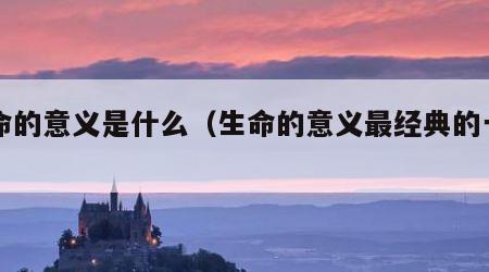 生命的意义是什么（生命的意义最经典的一句话）
