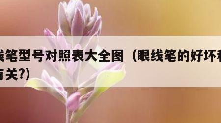 眼线笔型号对照表大全图（眼线笔的好坏和价格有关?）