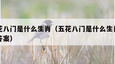 五花八门是什么生肖（五花八门是什么生肖正确答案）