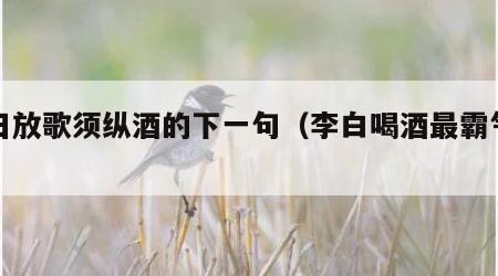 白日放歌须纵酒的下一句（李白喝酒最霸气的诗）
