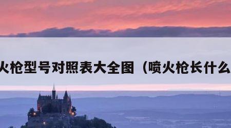 喷火枪型号对照表大全图（喷火枪长什么样）