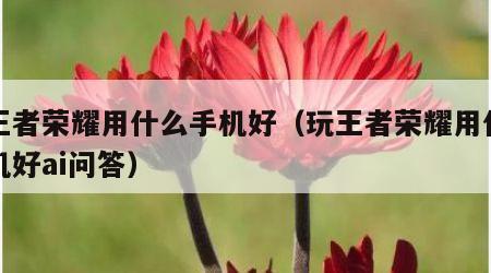 玩王者荣耀用什么手机好（玩王者荣耀用什么手机好ai问答）