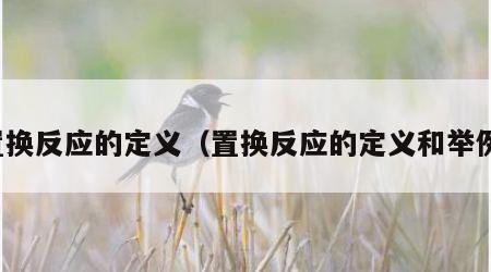 置换反应的定义（置换反应的定义和举例）