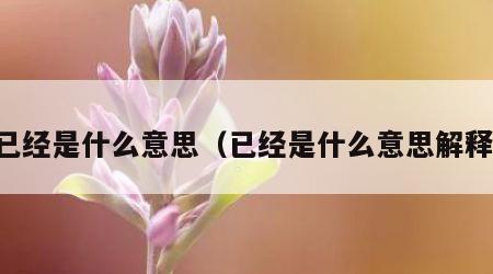 已经是什么意思（已经是什么意思解释）
