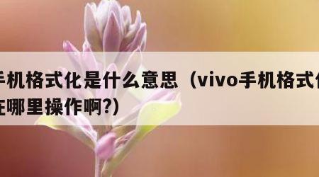 手机格式化是什么意思（vivo手机格式化在哪里操作啊?）